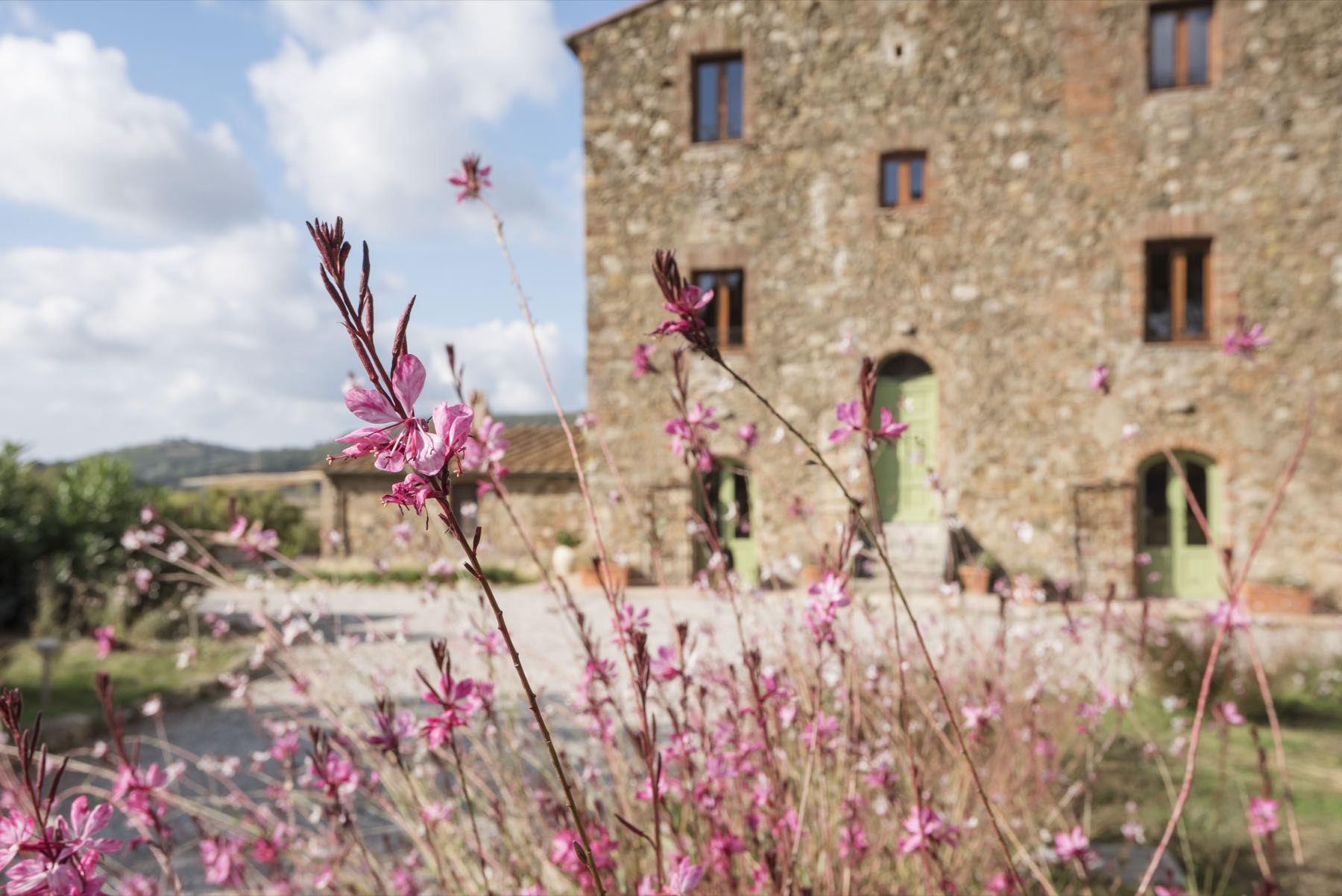 Fioriture rosa davanti alla facciata del casale